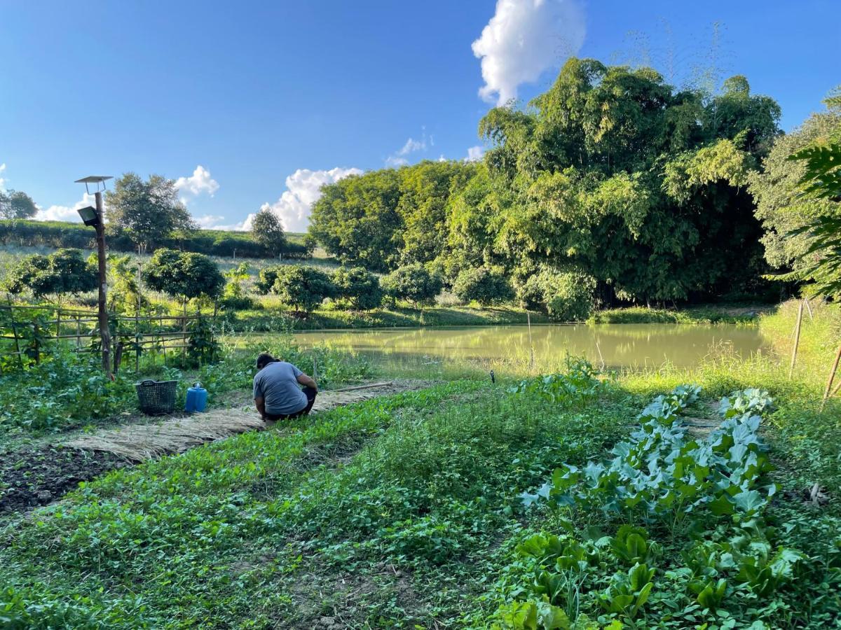 Punpawn ปั๋นปอนด์ Farm Stay Chiang Saen Exterior foto